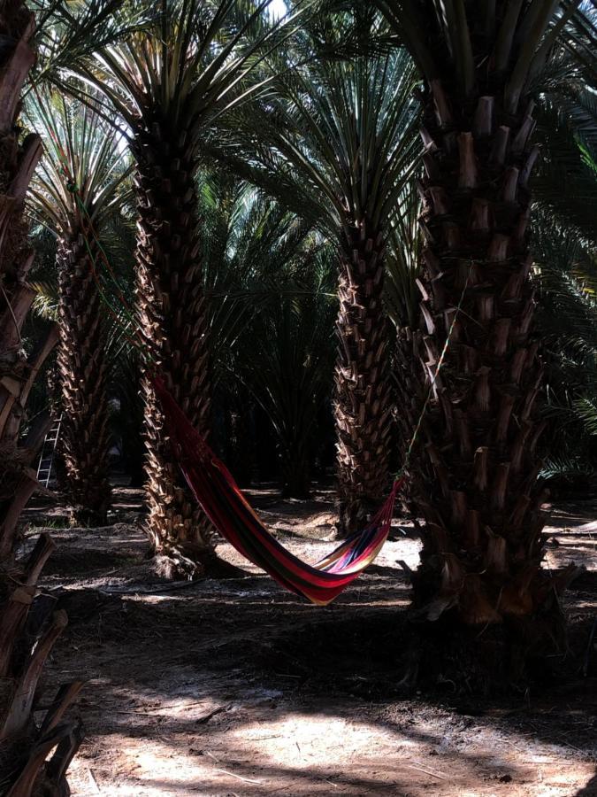 ريف * Al-Ula